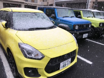 ついに！都内で雪が…